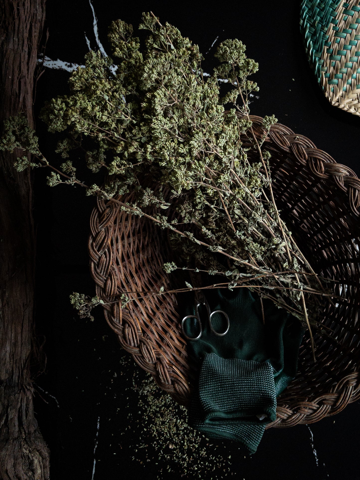 Wilder Oregano aus Corleone – Handgepflückt